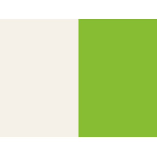 Bild 2 - Einlegeblatt - hellgr�n