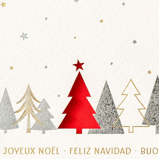 Bild 2 - Verschneiter Winterwald