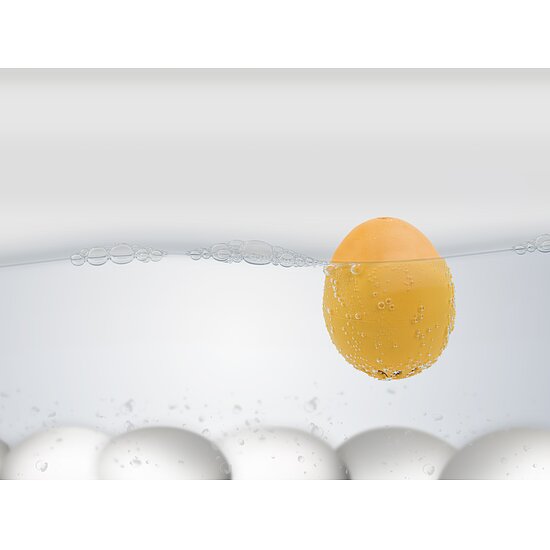 Bild 4 - Eggsperten PiepEi