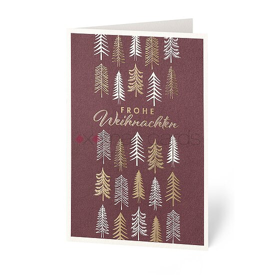 Bild 1 - Krebshilfe - Tannenwald